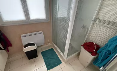 Rénovation d'une salle de douche image 3